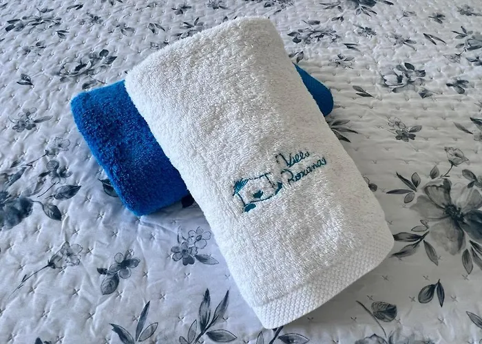 Casa Roxana Dom wakacyjny